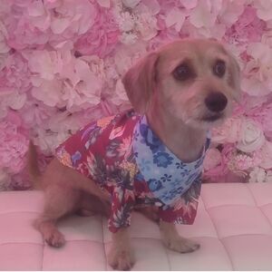 (NEW) Floral Dog Shirt - Red and Blue